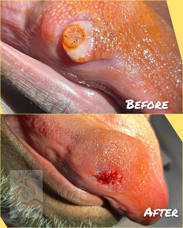 32 Pearls Multispeciality Dental Clinic - 32 Pearls Multispeciality Dental Clinic