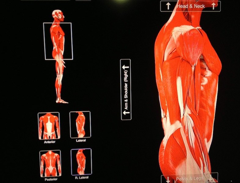 A-alpha Physiotherapy Practice - A-alpha Physiotherapy Practice