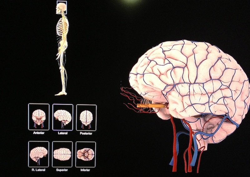 A-alpha Physiotherapy Practice - A-alpha Physiotherapy Practice