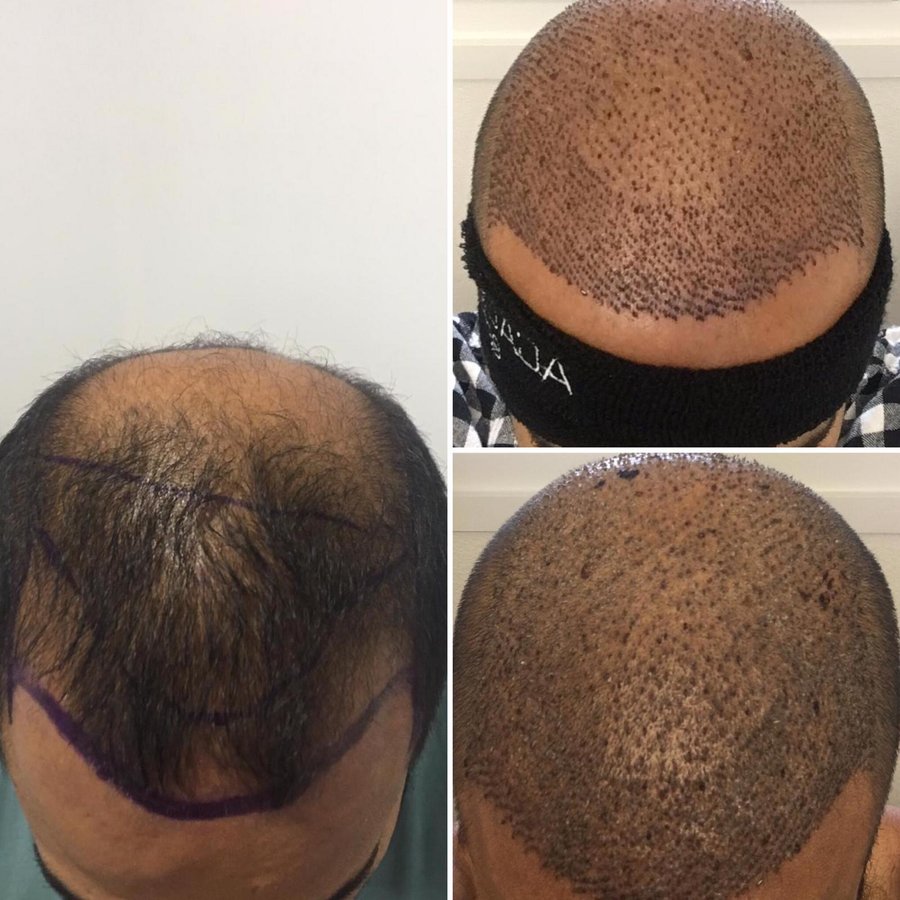 Academic Esthetic - Academic Esthetic