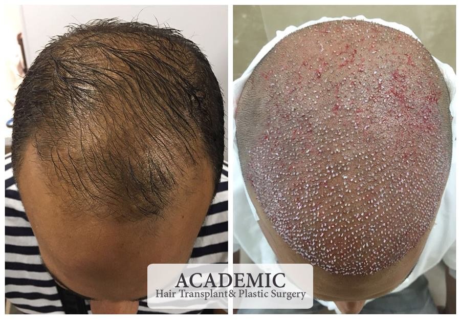 Academic Esthetic - Academic Esthetic