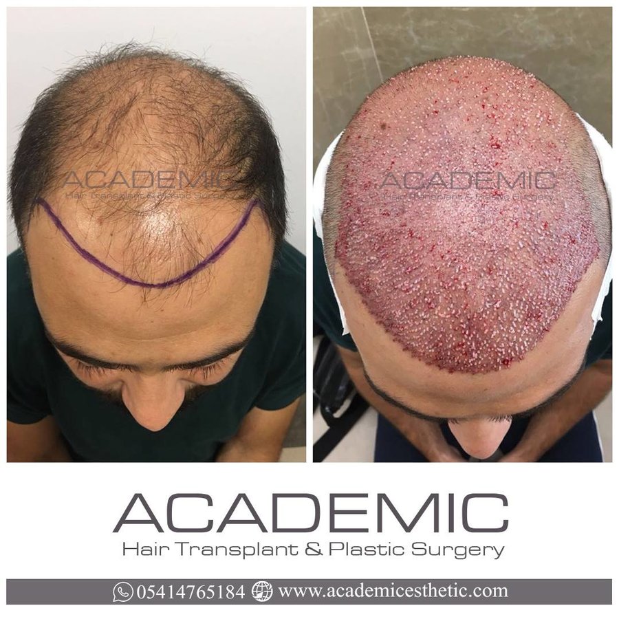 Academic Esthetic - Academic Esthetic