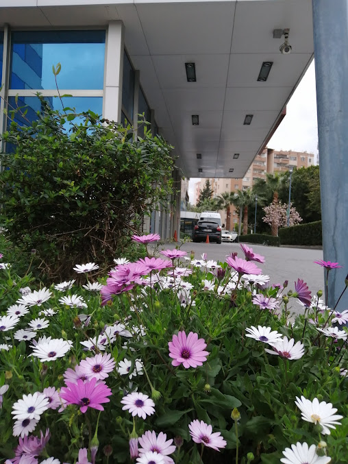 Acibadem Adana Hospital - Acibadem Adana Hospital