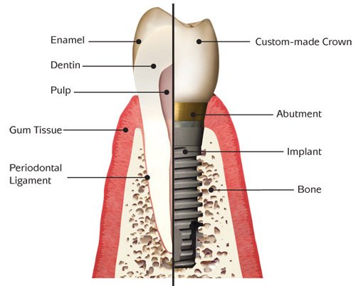 AESTHETIC DENTISTRY - AESTHETIC DENTISTRY