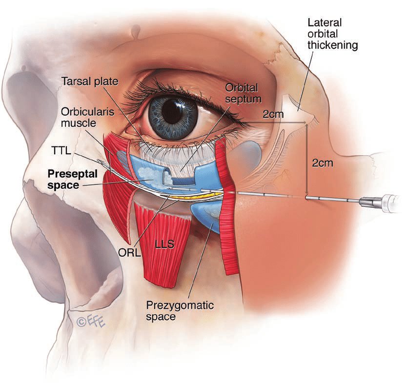 Ailesbury Clinic - Ailesbury Clinic