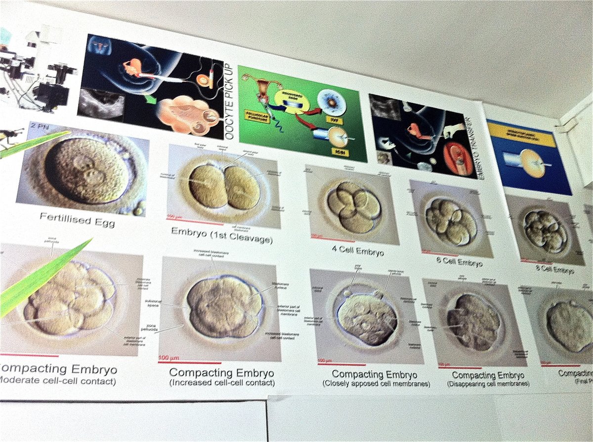 Akruti Fertility Centre - Akruti Fertility Centre