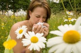 عيادة AKSHAR HOMOPATHIC - راجكوت - AKSHAR HOMEOPATHIC CLINIC - RAJKOT