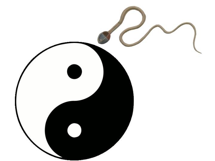 Albert Place Practice - Albert Place Practice