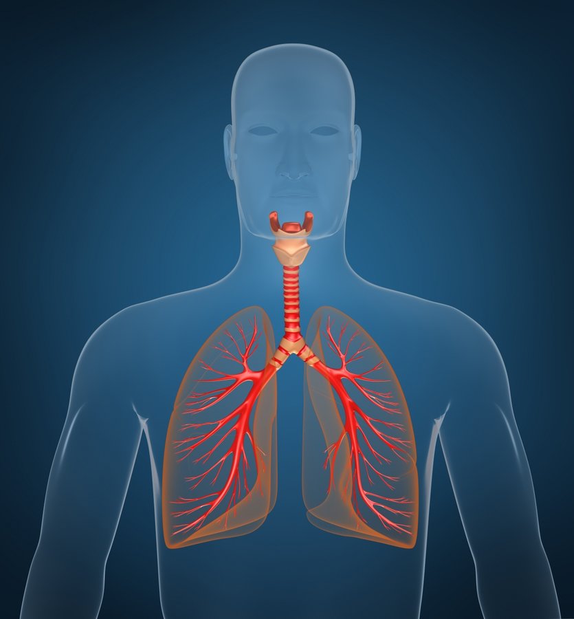 Allergy and Asthma Center - Allergy and Asthma Center