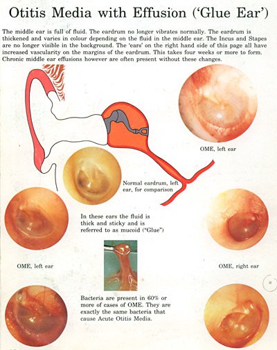 Allergy & ENT Diagnostics - Allergy & ENT Diagnostics