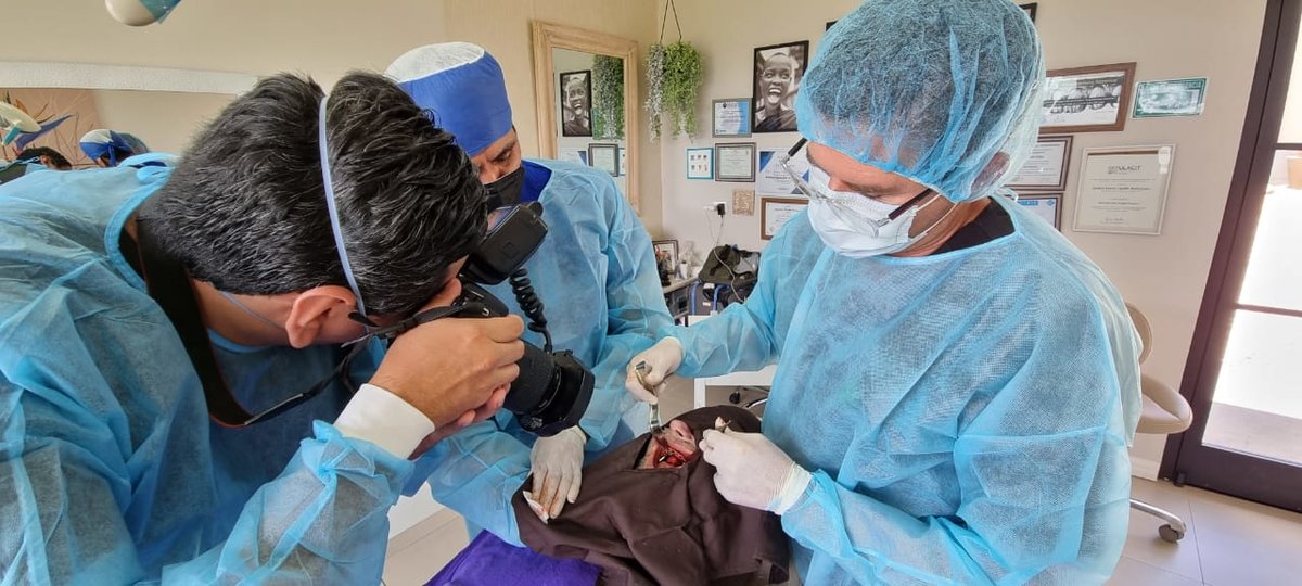 Alma Wellness and Dental Care - Alma Wellness and Dental Care