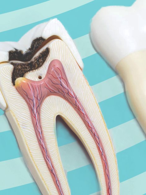 American Dental Clinic Egypt - American Dental Clinic Egypt