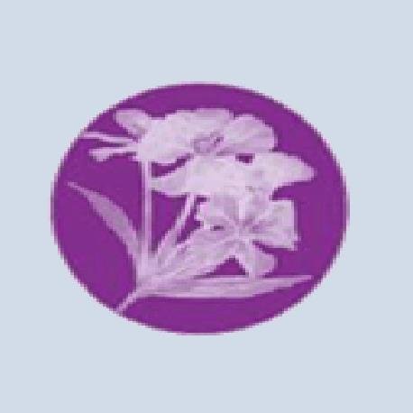 Anita's Beauty Works - Anita's Beauty Works