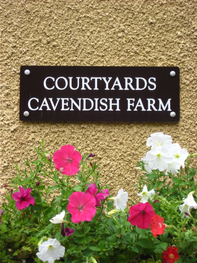 Ann-Marie Shepherd Lic Ac MBAcC - Ann-Marie Shepherd Lic Ac MBAcC