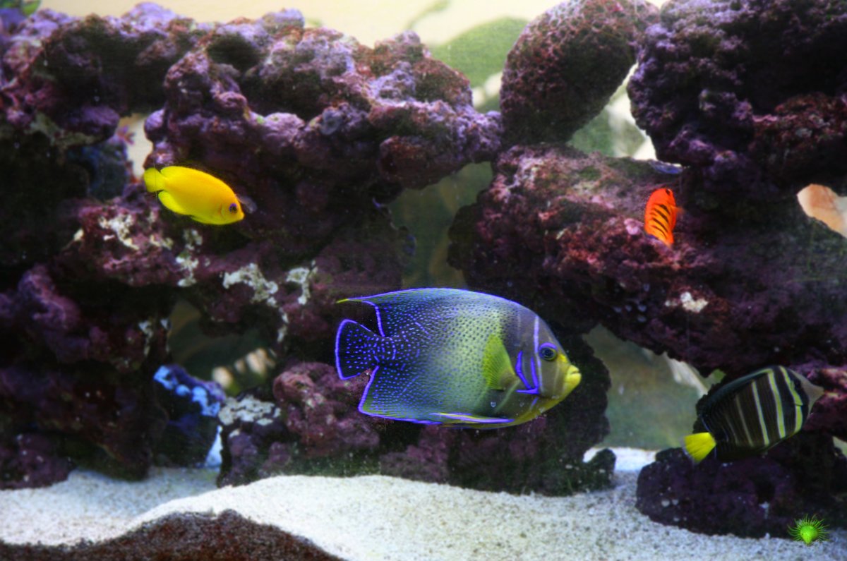 Applewood Village Dentistry - Applewood Village Dentistry