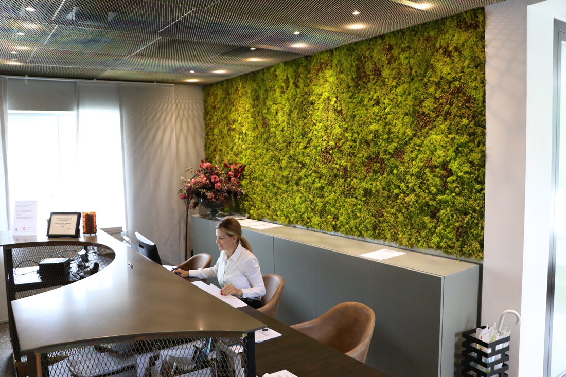 Ars Salutaris Dental Clinic - Ars Salutaris Dental Clinic