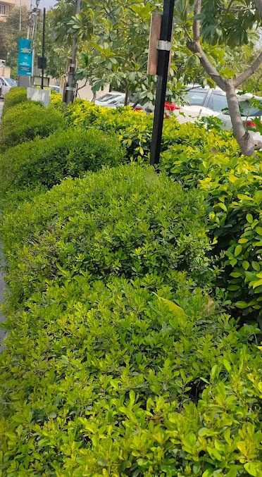 Artemis Hospitals - Artemis Hospitals