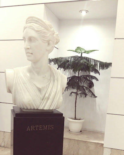 Artemis Hospitals - Artemis Hospitals