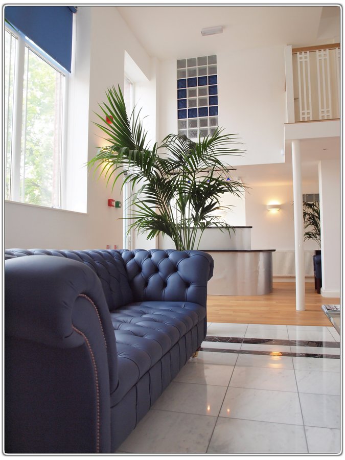 Ayub Endodontics - Ayub Endodontics