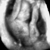 Babybond & Ultrasound Direct Manchester - Babybond & Ultrasound Direct Manchester