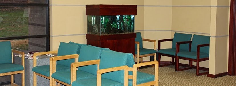 Bannerman Family Dentistry: Drew Bannerman DDS - Bannerman Family Dentistry: Drew Bannerman DDS