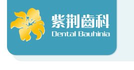 Bauhinia Dental - Bauhinia Dental