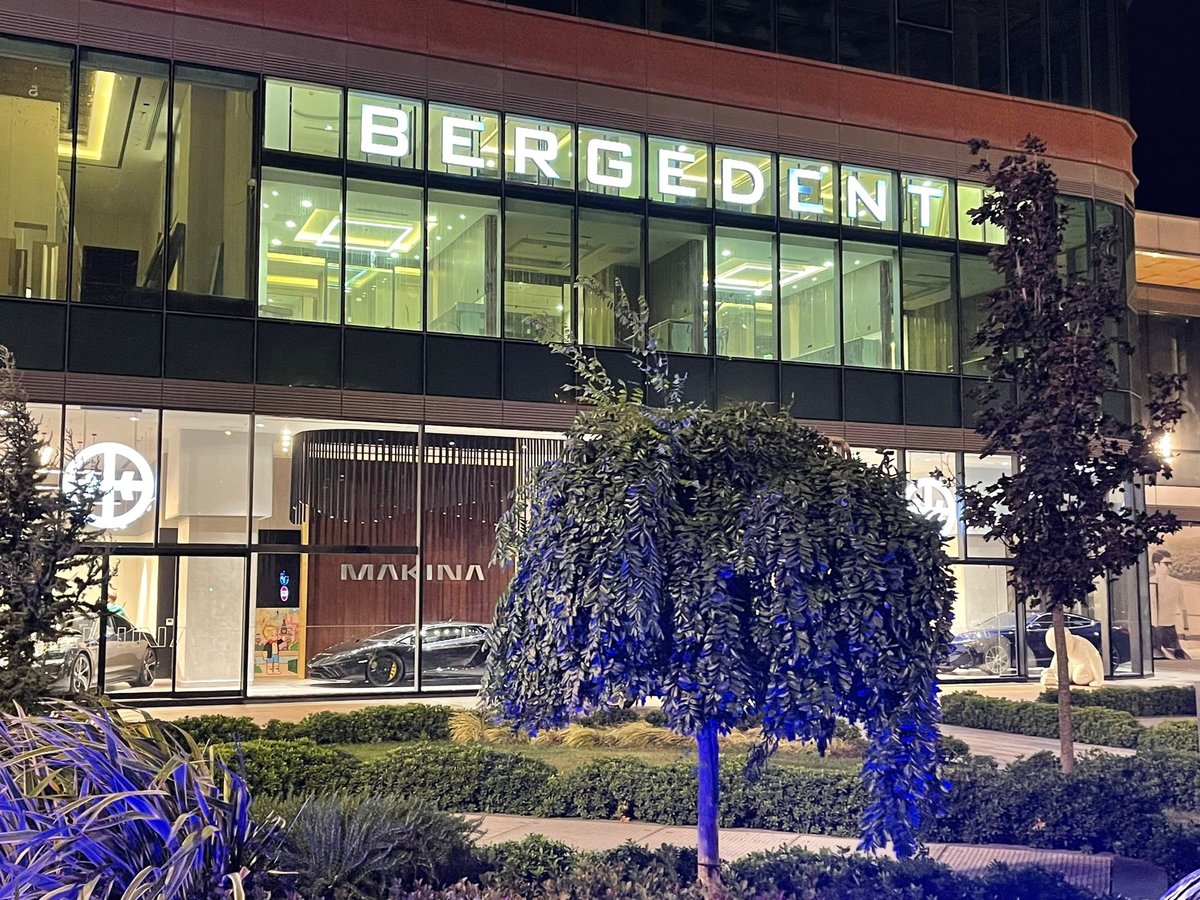 Bergedent - Bergedent