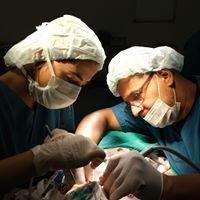 مجموعة بيرينشي الصحية - مستشفى المناخ الجديد - Birinci Health Group-NEW CLIMATE HOSPITAL