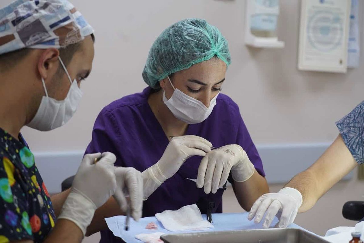 Blue Magic Group - Hair Transplant Professionals - Blue Magic Group - Hair Transplant Professionals