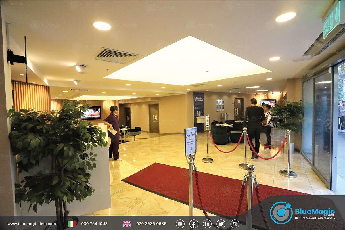 Blue Magic Group - Hair Transplant Professionals - Blue Magic Group - Hair Transplant Professionals