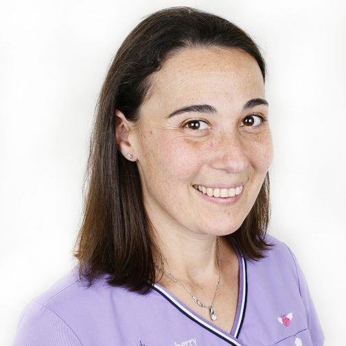 Blueberry Dental Surgery - Blueberry Dental Surgery