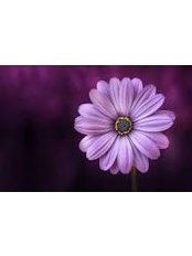 Breda Farrell - Breda Farrell