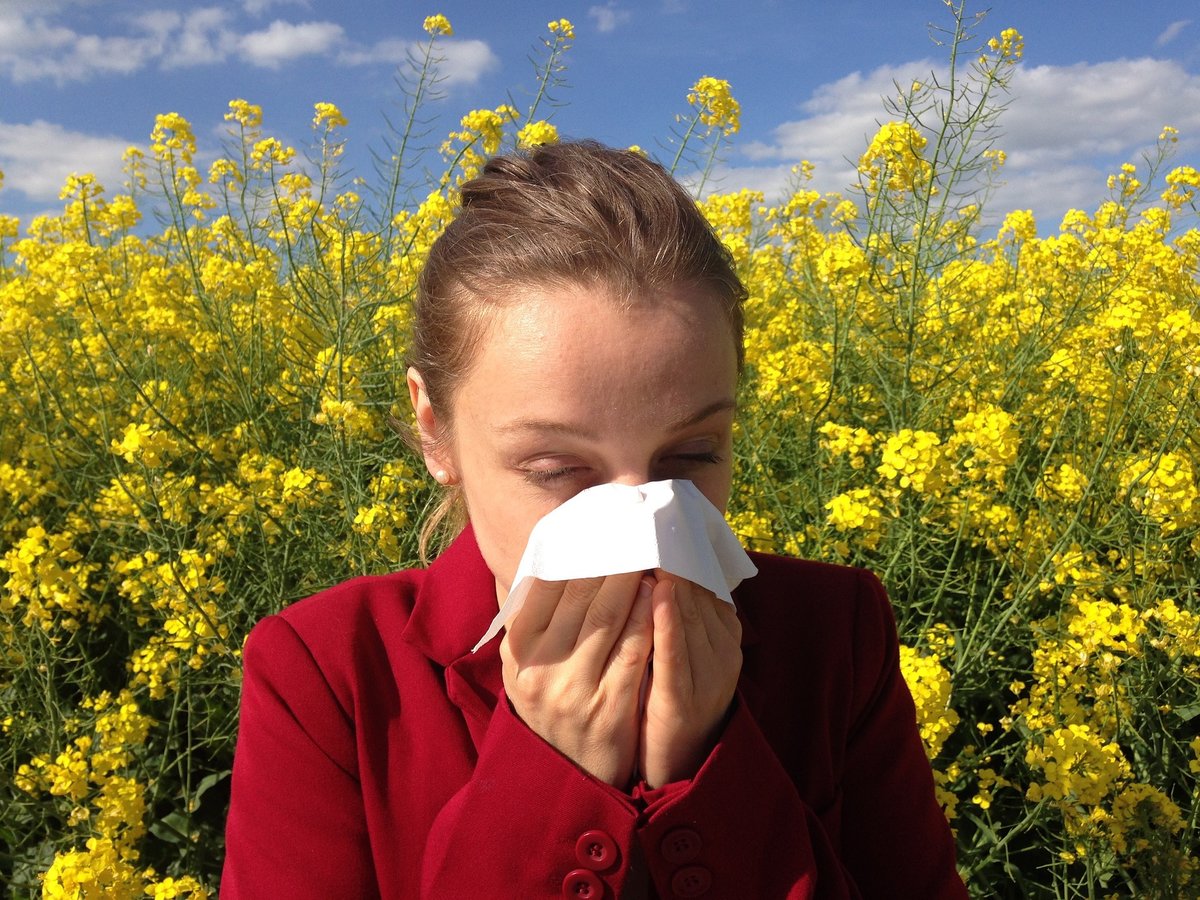 British Allergy Clinic - British Allergy Clinic
