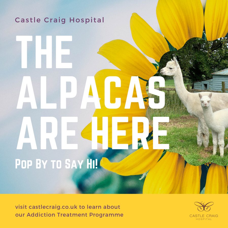 Castle Craig Hospital - Castle Craig Hospital