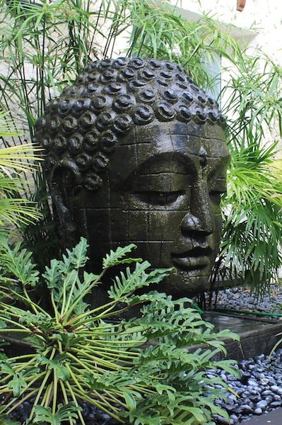 Centre de Chirurgie Esthétique de l'Océan Indien - Centre de Chirurgie Esthétique de l'Océan Indien