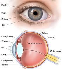 Chinmaya Vision The Eye Hospital - Chinmaya Vision The Eye Hospital
