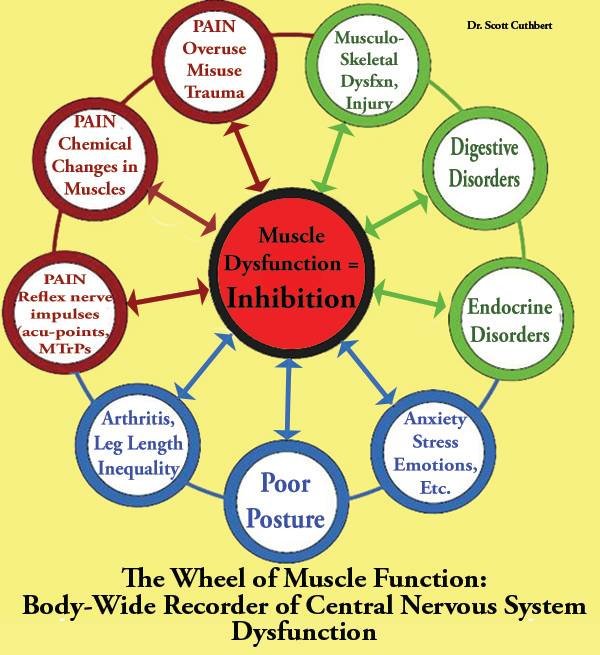 Chiropractic Philippines - Chiropractic Philippines