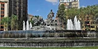 Cirugía Plástica Avant Garde - Cirugía Plástica Avant Garde