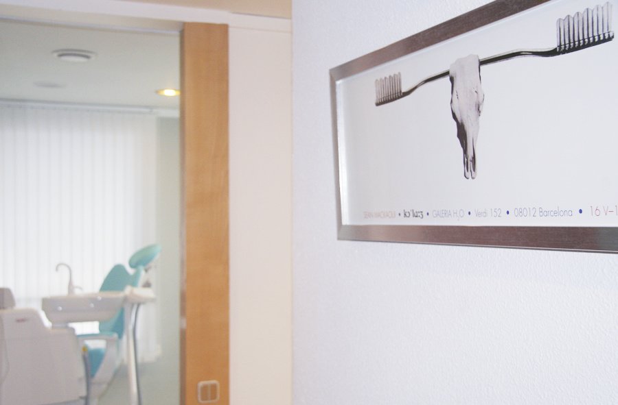 Cisne Dental - Cisne Dental