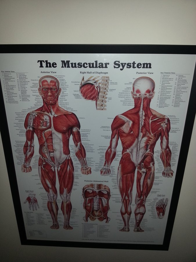 Claire Kiernan Physical Therapy - Claire Kiernan Physical Therapy