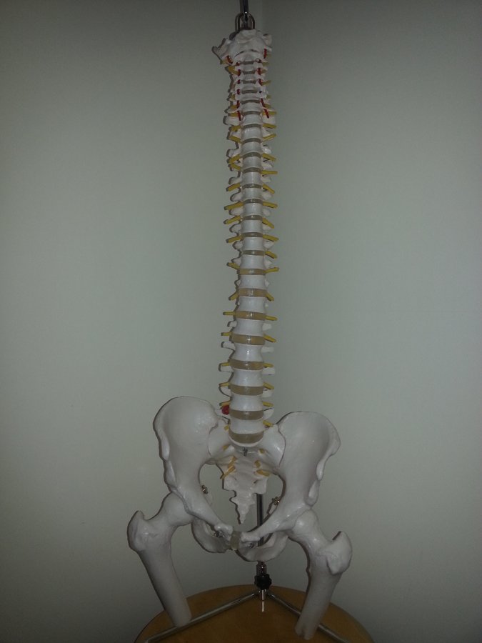 Claire Kiernan Physical Therapy - Claire Kiernan Physical Therapy