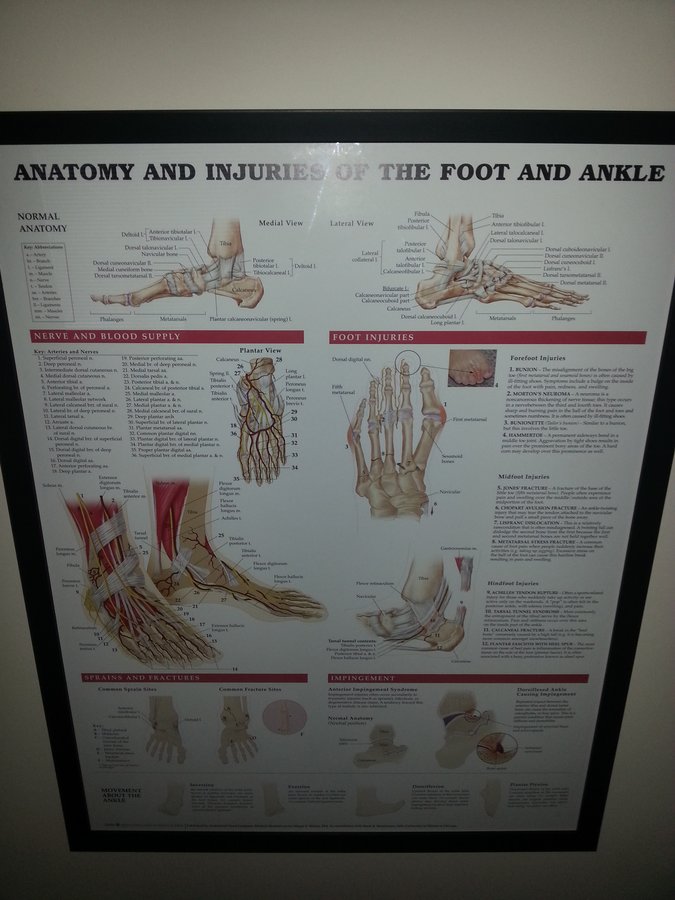 Claire Kiernan Physical Therapy - Claire Kiernan Physical Therapy