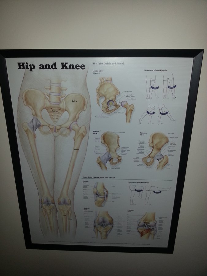 Claire Kiernan Physical Therapy - Claire Kiernan Physical Therapy