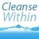 Cleanse Within - Cleanse Within