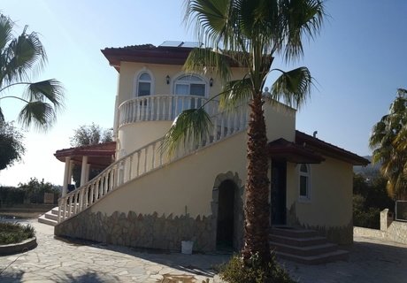 Cleopatra Dent - Cleopatra Dent