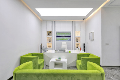 CLINIC HAIR  - Consultation Room