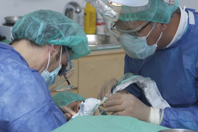 CLINICA DR. PINHEIRO CORREIA - CLINICA DR. PINHEIRO CORREIA