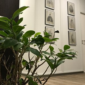 Clínica Médica do Porto - Clínica Médica do Porto