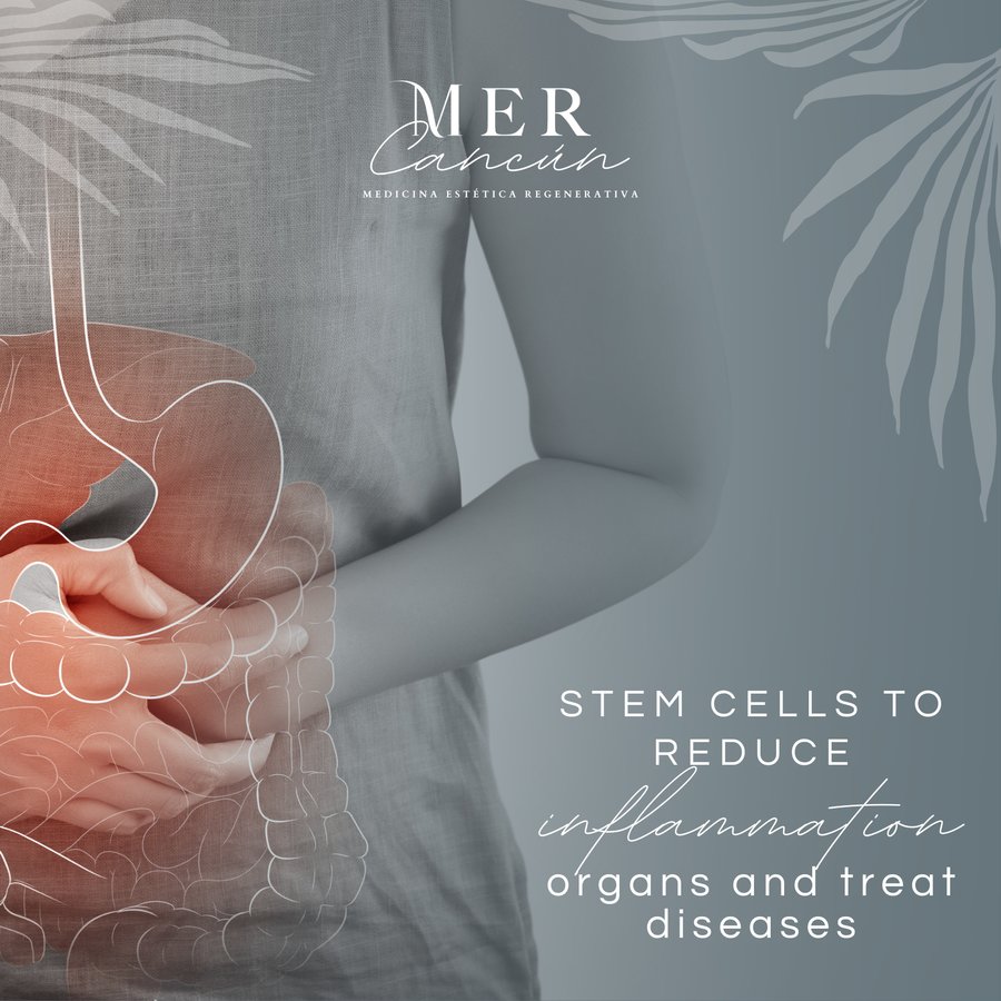 Clínica MER Cancún - Clínica MER Cancún