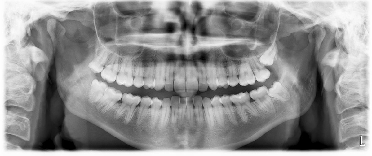 Cody Central Odontológica de Yucatán - Cody Central Odontológica de Yucatán